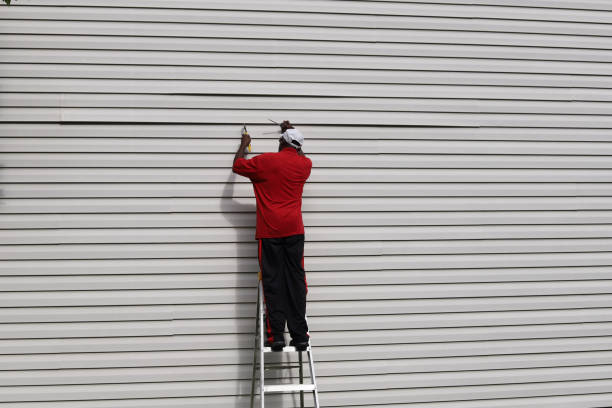 Best Siding Replacement  in Bardstown, KY